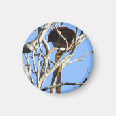 Boom Kangaroo Magnet (Voorkant)