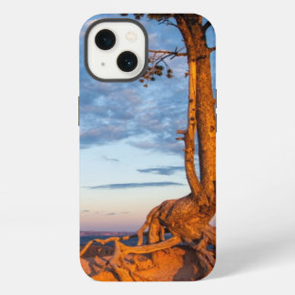 Boom kleeft aan richel, Bryce Canyon National Park iPhone 13 Hoesje