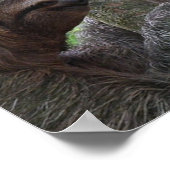 Boom-klimmende Poster afdrukken (Hoek)