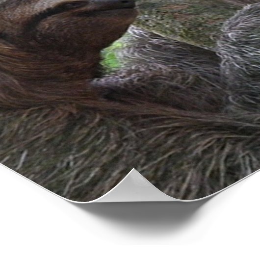 Boom-klimmende Poster afdrukken (Hoek)