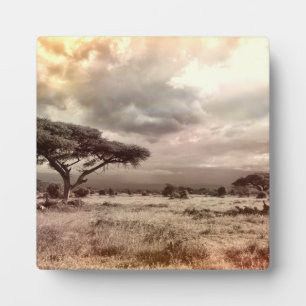Boom Kunst Decor Afrika Afrikaans Lotsbestemming B Fotoplaat