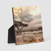Boom Kunst Decor Afrika Afrikaans Lotsbestemming B Fotoplaat (Voorkant)