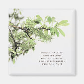 Boom laat de Bijbel Verse Magnet over (Voorkant)