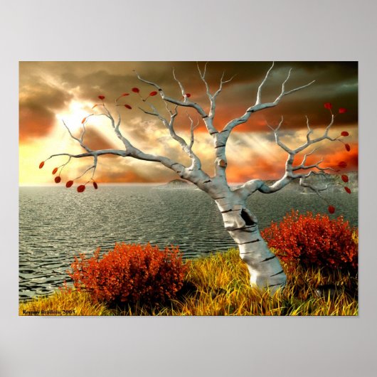 Boom langs de oceaan poster (Voorkant)