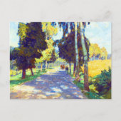 Boom langs de weg van Carl Moll Briefkaart (Voorkant)