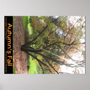 Boom Light Ray Autumn's Herfst Poster