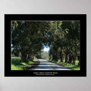"Boom-Lined Country Road" Poster