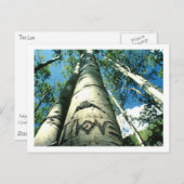 boom Love Briefkaart (Voorkant / Achterkant)