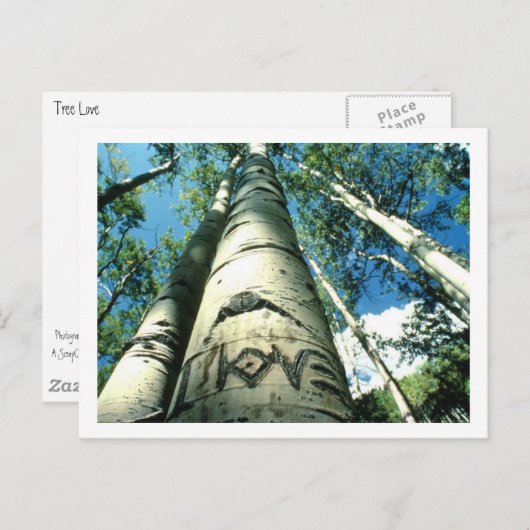 boom Love Briefkaart (Voorkant / Achterkant)