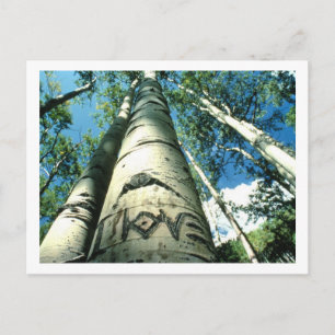 boom Love Briefkaart