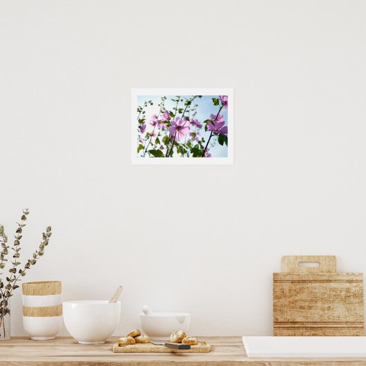 Boom Mallow Blooms in Summer Poster (Keuken)