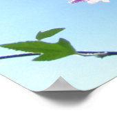 Boom Mallow in Bloom Poster (Hoek)