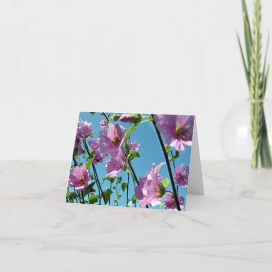 Boom Mallow (Lavatera arborea) Kaart (Voorkant)