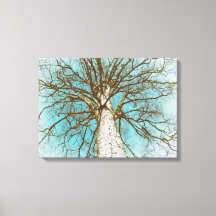 Boom met bijkantoren