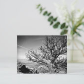 Boom met Briefkaart Contrail (Staand voorkant)