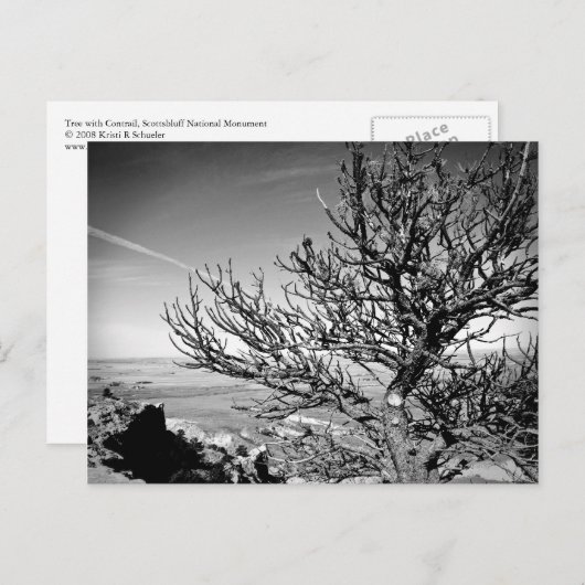 Boom met Briefkaart Contrail (Voorkant / Achterkant)