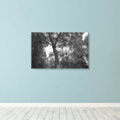 Boom met een mysterieus gat canvas afdruk (Insitu (Houten vloer))