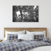 Boom met een mysterieus gat II Canvas Afdruk (Insitu (Slaapkamer))