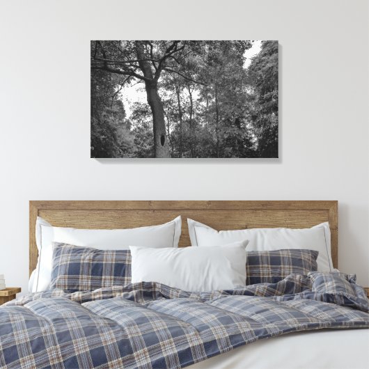 Boom met een mysterieus gat II Canvas Afdruk (Insitu (Slaapkamer))