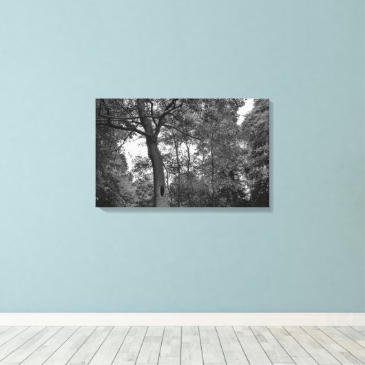 Boom met een mysterieus gat II Canvas Afdruk (Insitu (Houten vloer))