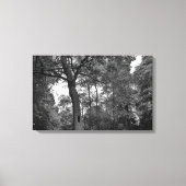 Boom met een mysterieus gat II Canvas Afdruk (Voorkant)
