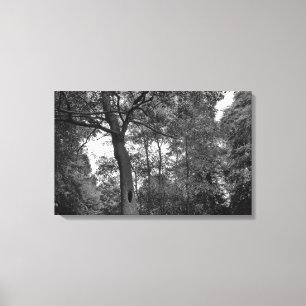 Boom met een mysterieus gat II Canvas Afdruk