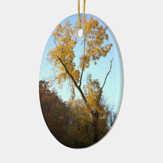 Boom met geel blad Ornament (Links)