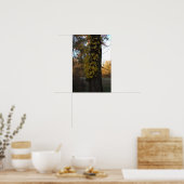 Boom met geel blad Poster (Keuken)