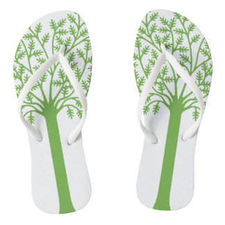 Boom met groene bladeren teenslippers
