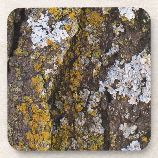 Boom met kippen bier onderzetter (Voorkant)