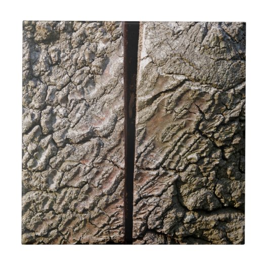 Boom met middelste snede tegeltje (Voorkant)