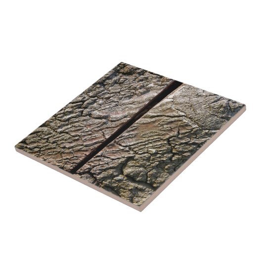 Boom met middelste snede tegeltje (Zijkant)