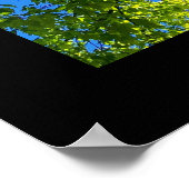 Boom met Poster van lenteverbladeren (vierkant) (Hoek)