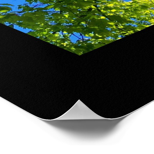 Boom met Poster van lenteverbladeren (vierkant) (Hoek)