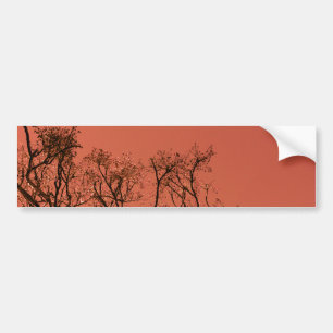 Boom met rode hemel bumpersticker