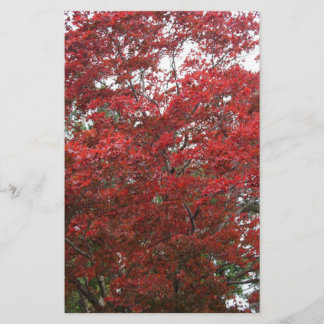 Boom met rode herfstbladeren briefpapier