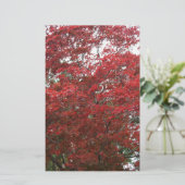 Boom met rode herfstbladeren briefpapier (Staand voorkant)