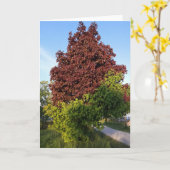 Boom met twee verschillende kleuren ODD-Natuur Kaart (Gele Bloem)