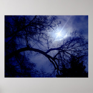 Boom met wandgrootte Silhouette Poster