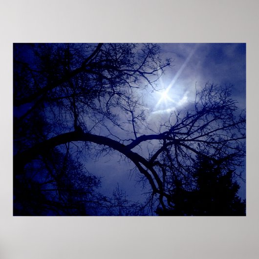 Boom met wandgrootte Silhouette Poster (Voorkant)