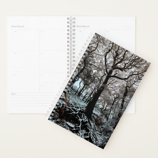 Boom, met wortels planner (Display)