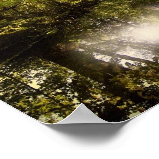 Boom met zon en wijze Lao Tzu-citaat Poster (Hoek)