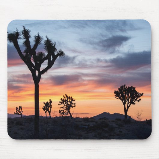 Boom Muismat (Voorkant)