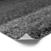 Boom op de heuvel poster (Hoek)