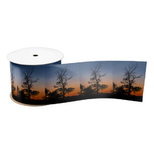 Boom op een achtergrond van zonsondergang satijnen lint