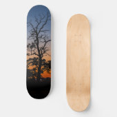 Boom op een achtergrond van zonsondergang skateboard (Voorkant)