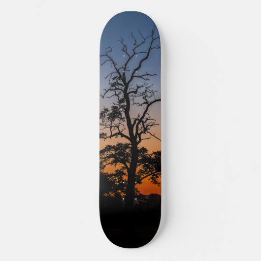 Boom op een achtergrond van zonsondergang skateboard (Voorkant)