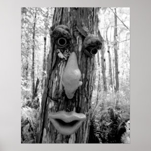 Boom op een Big Cypress boom. Poster