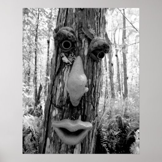 Boom op een Big Cypress boom. Poster (Voorkant)