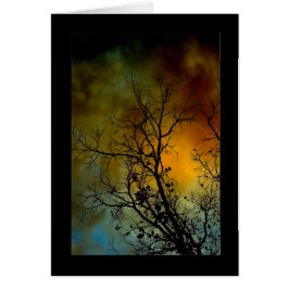 boom op een stormachtige ochtend